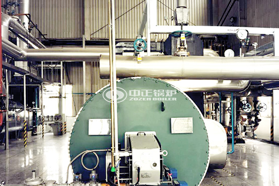 20噸WNS燃?xì)庹羝仩t項目