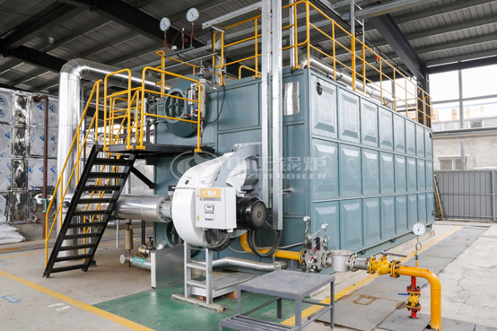 15噸SZS系列冷凝式燃?xì)庹羝仩t項(xiàng)目