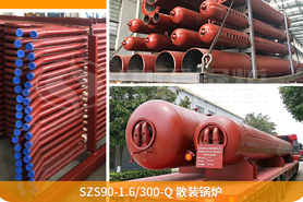 中正鍋爐為確保鍋爐項目順利展，向巴基斯坦提供了專業(yè)的技術(shù)指導(dǎo)