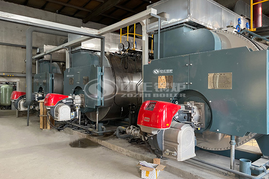 吉林德達(dá)6噸WNS系列兩回燃?xì)庹羝仩t項(xiàng)目