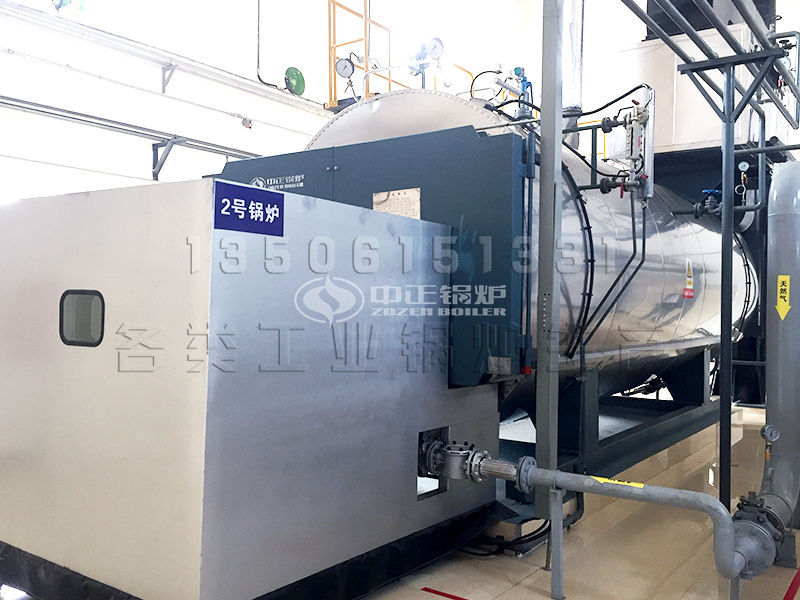 10噸以上生物顆粒的鍋爐